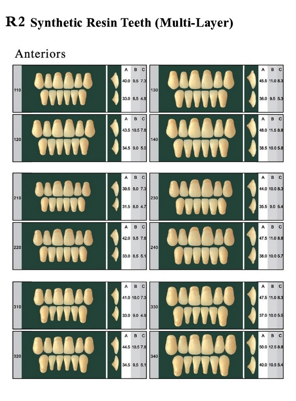 R2 Synthetic Resin Teeth 